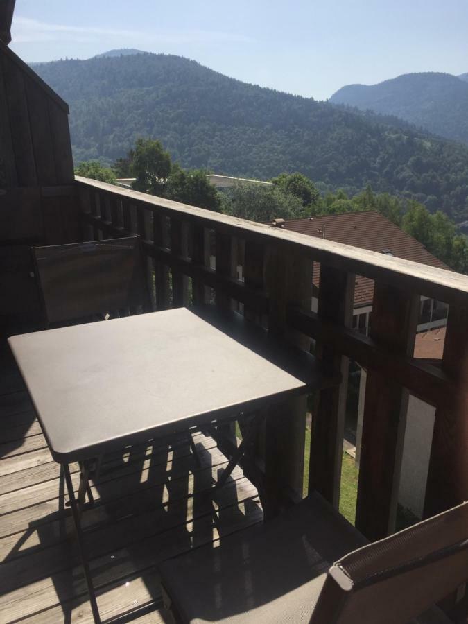 Charmant T3 Bussang, Vosges, Vue Imprenable Εξωτερικό φωτογραφία